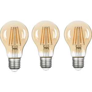 A60 Bal Cam LED Ampul 6W 2500K E27 (Gün Işığı) 3'lü Erd-37