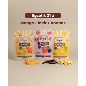 Freeze Dried Dryni Egzotik Üçlü Set