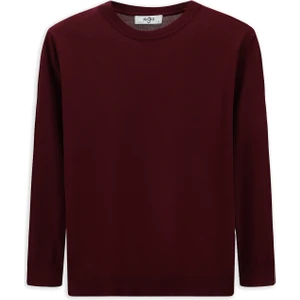 Bisiklet Yaka Regular Fit Triko Kazak