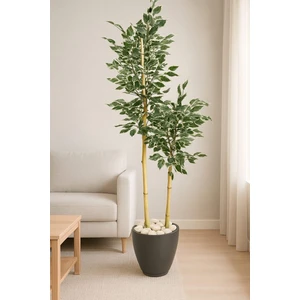 Yapay Ağaç Benjamin Kar Beyaz Yapraklı 150 cm Yakamoz Saksı ve Dolomit Taşı Dahildir