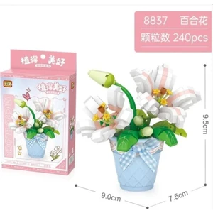 Saksılı Zambak Yapım Seti