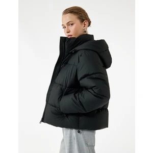 Polar Cep Detaylı Fermuarlı Uzun Kollu Kapüşonlu Crop Şişme Mont