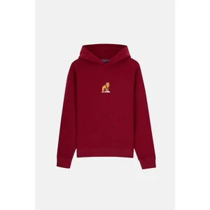 Aslan Supersoft Hoodie - Bordo