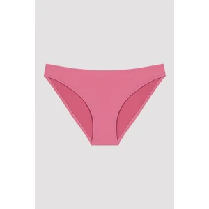 Gül Kurusu Basic Slip Bikini Altı