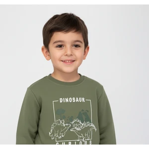 Dinazor Baskılı Erkek Çocuk Sweatshirt