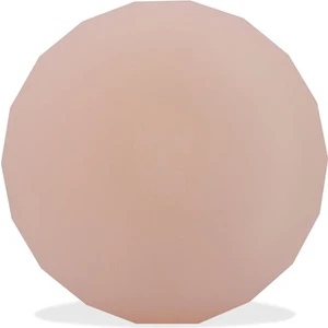 Pınk Zee.dog Aırtag Kılıfı