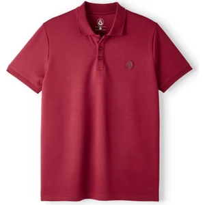 Gs Store Galatasaray Premium Basic Polo T-Shirt E251133