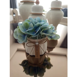 Minik Islak Ortanca Çiçek