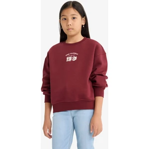 Kız Çocuk Relax Fit Bisiklet Yaka Baskılı İçi Yumuşak Tüylü Sweatshirt E6779A825WN