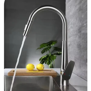 Inox Spiralli Mutfak Evye Batarya Çek Bırak Uzayan Iki Modlu Başlık Fıskiye Musluk Yeni Armatür