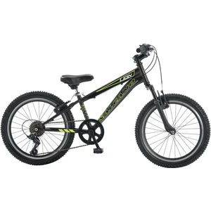 Lion 20 Jant Vitesli Erkek Çocuk Bisikleti (120-145 cm Boy)