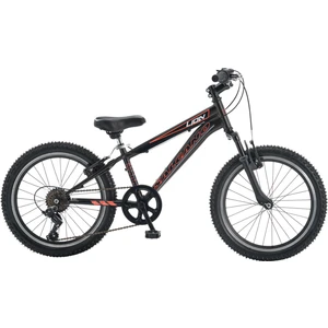 Lion 20 Jant Vitesli Erkek Çocuk Bisikleti (120-145 cm Boy)
