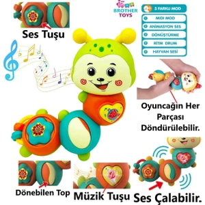 Brother Toys Sesli Işıklı Müzikli Eğitici Çok Fonksiyonlu Bebek ve Çocuklar Için Tırtıl Piyano 15 Cm.