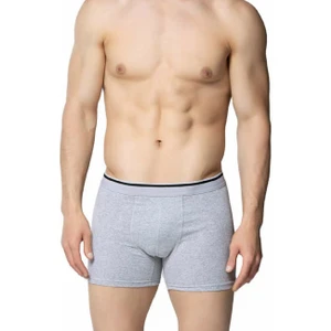 Gri Likralı Erkek Boxer