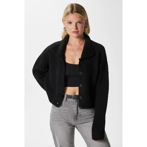 Kadın Lean Yumuşak Doku Polo Yaka Siyah Basic Triko Hırka HI00179