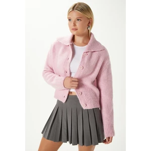 Kadın Lean Yumuşak Doku Polo Yaka Pembe Basic Triko Hırka HI00179