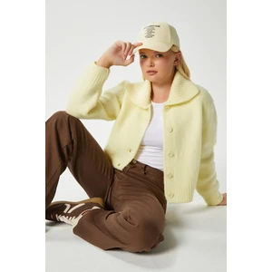 Kadın Lean Yumuşak Doku Polo Yaka Sarı Basic Triko Hırka HI00179