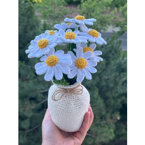 Örgü Saksılı Beyaz Papatya