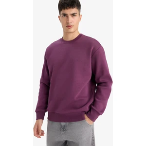 Relax Fit Bisiklet Yaka Kalın İçi Yumuşak Tüylü Basic Düz Sweatshirt T5139AZ25AU