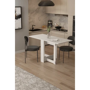 DF01109B Portatif Pratik Katlanır Masa Mutfak ve Yemek Masası