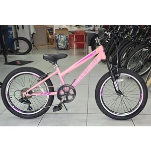 Lily 20 Jant Vitesli Kız Çocuk Bisikleti (120-145 cm Boy)