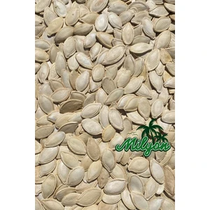 Kabak Çekirdeği Çığ 500 gr