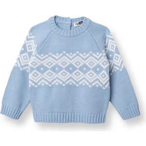 Hellobaby Erkek Bebek Mountain Explorer Kazak Triko Bisiklet Yaka Uzun Kol