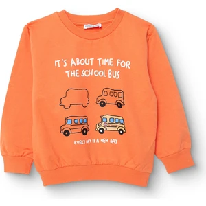 Hellobaby Erkek Bebek Basic Sweatshirt Şardonlu Bisiklet Yaka Uzun Kol