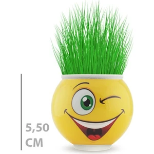 Çim Adam Saksı Emoji Figürlü 1 Adet