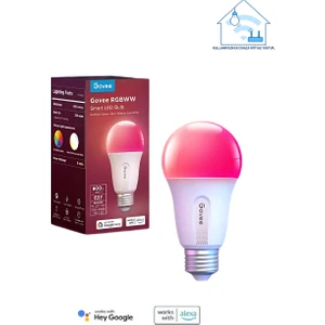 Wifi + Bluetooth 800 Lümen Uygulama Kontrollü Akıllı Ayarlanabilir Modlu LED Ampul