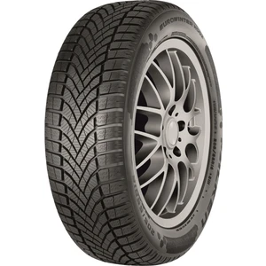 195/55R16 87H Eurowınter HS02 2025 Üretim Kış Lastiği