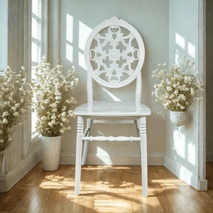NOVAPARTİEVİ Sandalye 