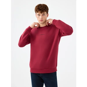 Regular Fit Erkek Sweatshirt