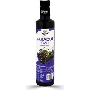 Karadut Özü 700 gr