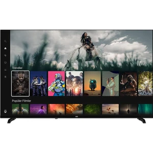 43SRB900 43'' 108 Ekran Uydu Alıcılı 4K Ultra HD TiVo Smart TV