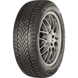 215/55 R18 Tl 99V Xl Eurowınter HS02 Suv Oto Kış Lastiği (Üretim YILI:2025)