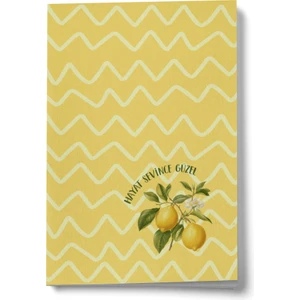 Hayat Sevince Güzel Mini Defter