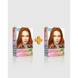 Viored Colorart 2'li Set Boya 8.45 Tarçın Bakır