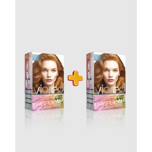 Viored Colorart 2'li Set Boya 8.73 Karamel