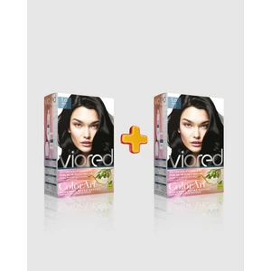 Viored Colorart 2'li Set Boya 1.0 Siyah