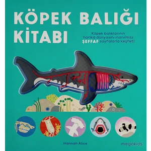 Köpek Balığı Kitabı