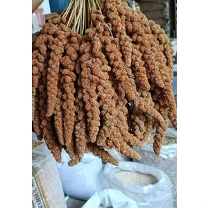 250 Gram Kızıl Dal Darı