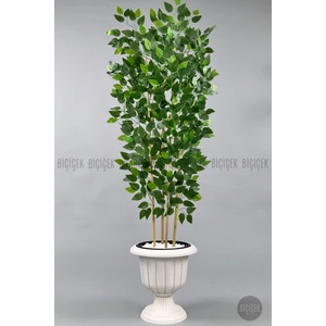 Yapay Benjamin Ağacı 170CM Yoğun Yapraklı Bambu Gövdeli Kırıkbeyaz Renk Nergis Saksıda