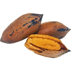 Peynircim Coşkun Gıda Kabuklu Pikan ( Pekan ) Cevizi 500 gr