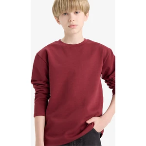 Erkek Çocuk Bisiklet Yaka Basic Düz Uzun Kollu Okul Tişörtü E9661A825AU