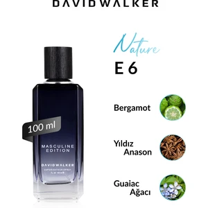 David Walker E6 Smith 100 ml Erkek Parfüm | Nature