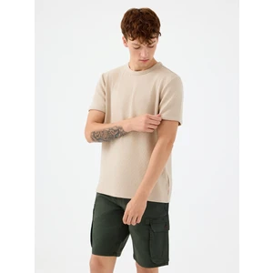 Regular Fit Erkek Tshirt K.kol