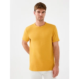 Regular Fit Erkek Tshirt K.kol