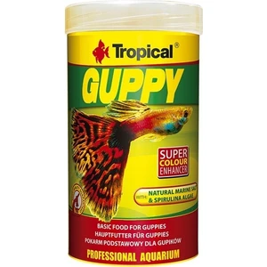 Guppy Lepistes Balıkları Için Pul Balık Yemi 250 ml 50 gr