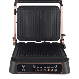 Fs -100CG Profesyonel Izgara ve Tost Makinesi